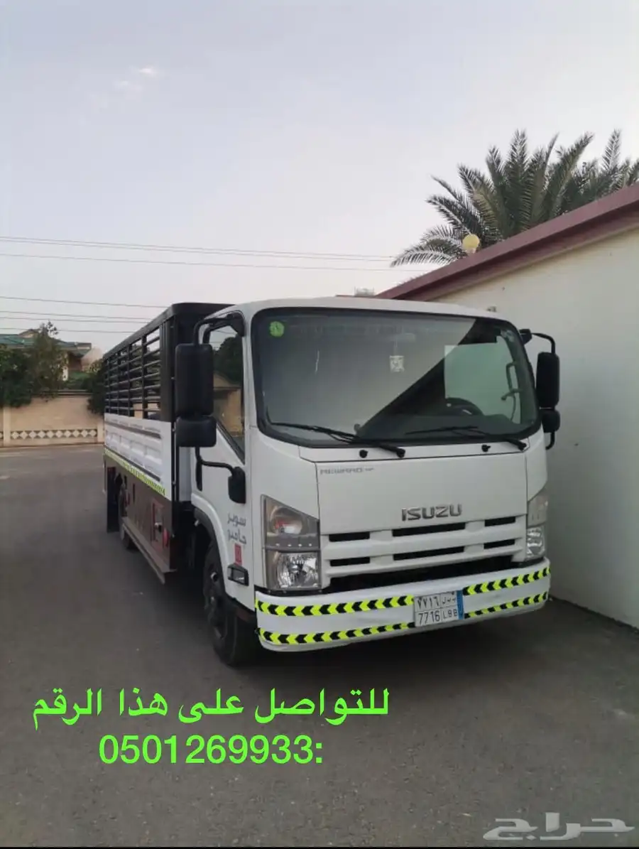 دينه دانه نقل عفش 0