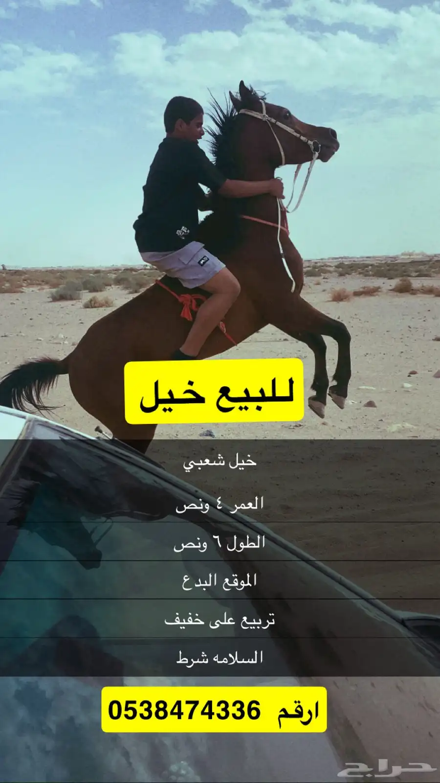 خيل 0