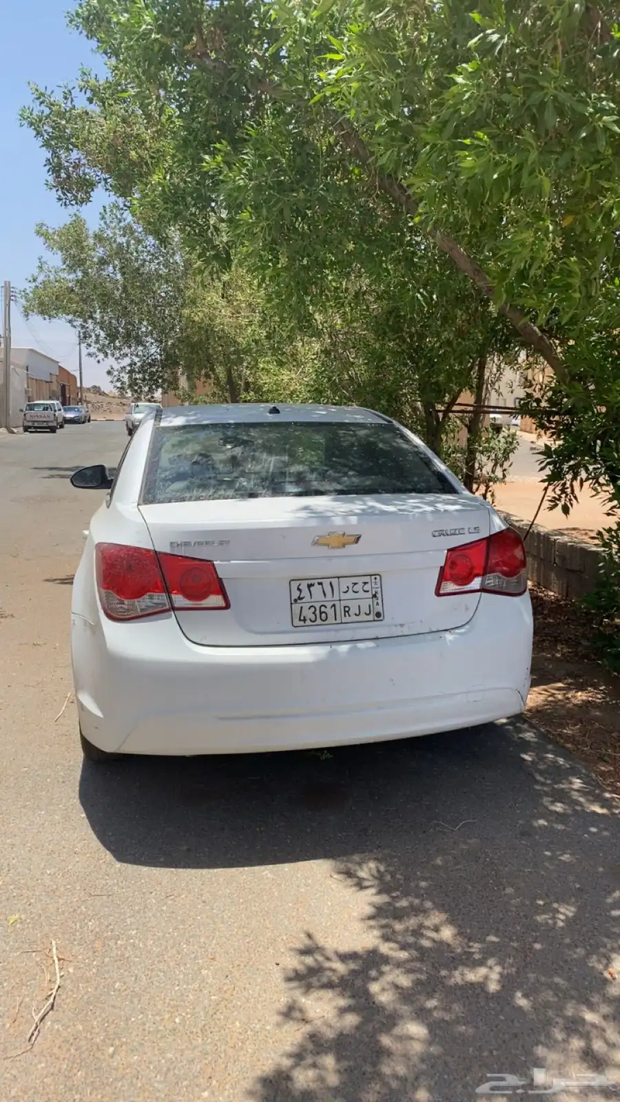 كروز 2013 2