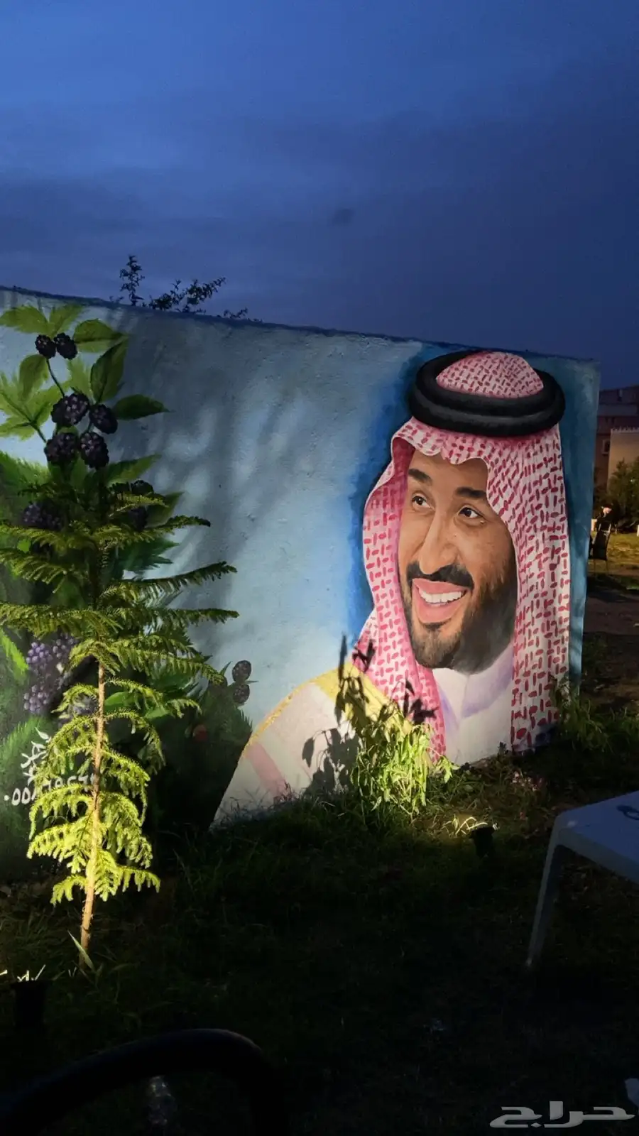 رسام رسامين 0