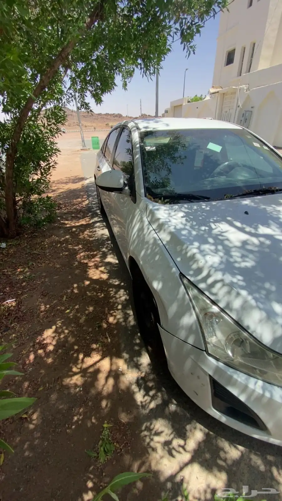 كروز 2013 4
