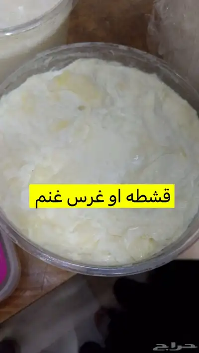 جبنه غنم خاثر غنم زبده غنم قشطه غنم سمن غنم لبنه غنم شرط 16