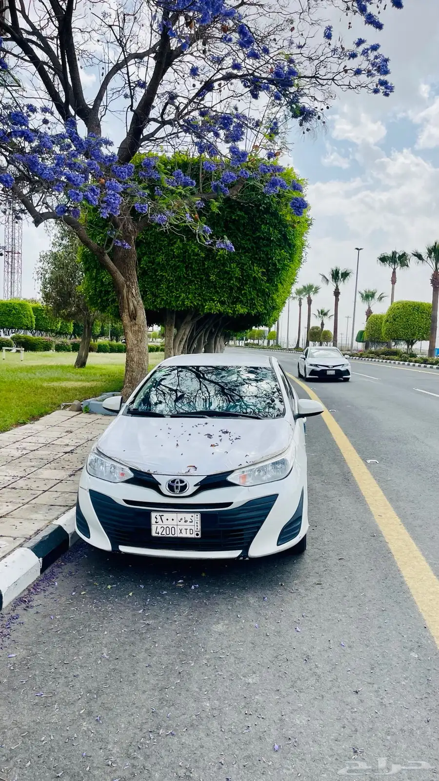 يارس 2019 2