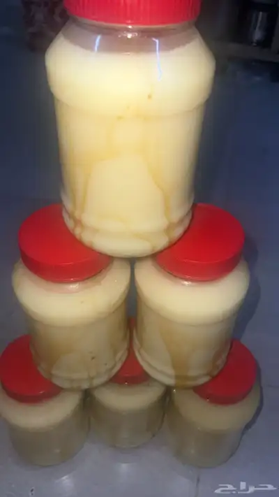 جبنه غنم خاثر غنم زبده غنم قشطه غنم سمن غنم لبنه غنم شرط 21