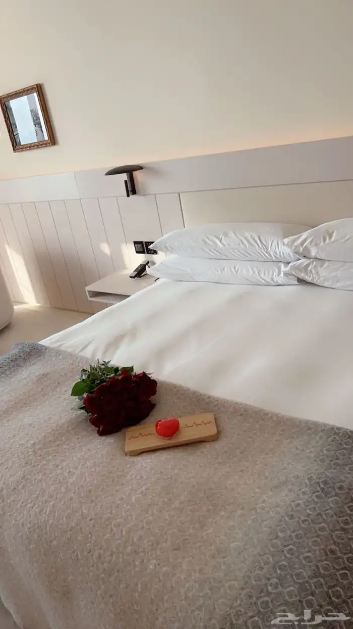 تنسيق حفلات 15