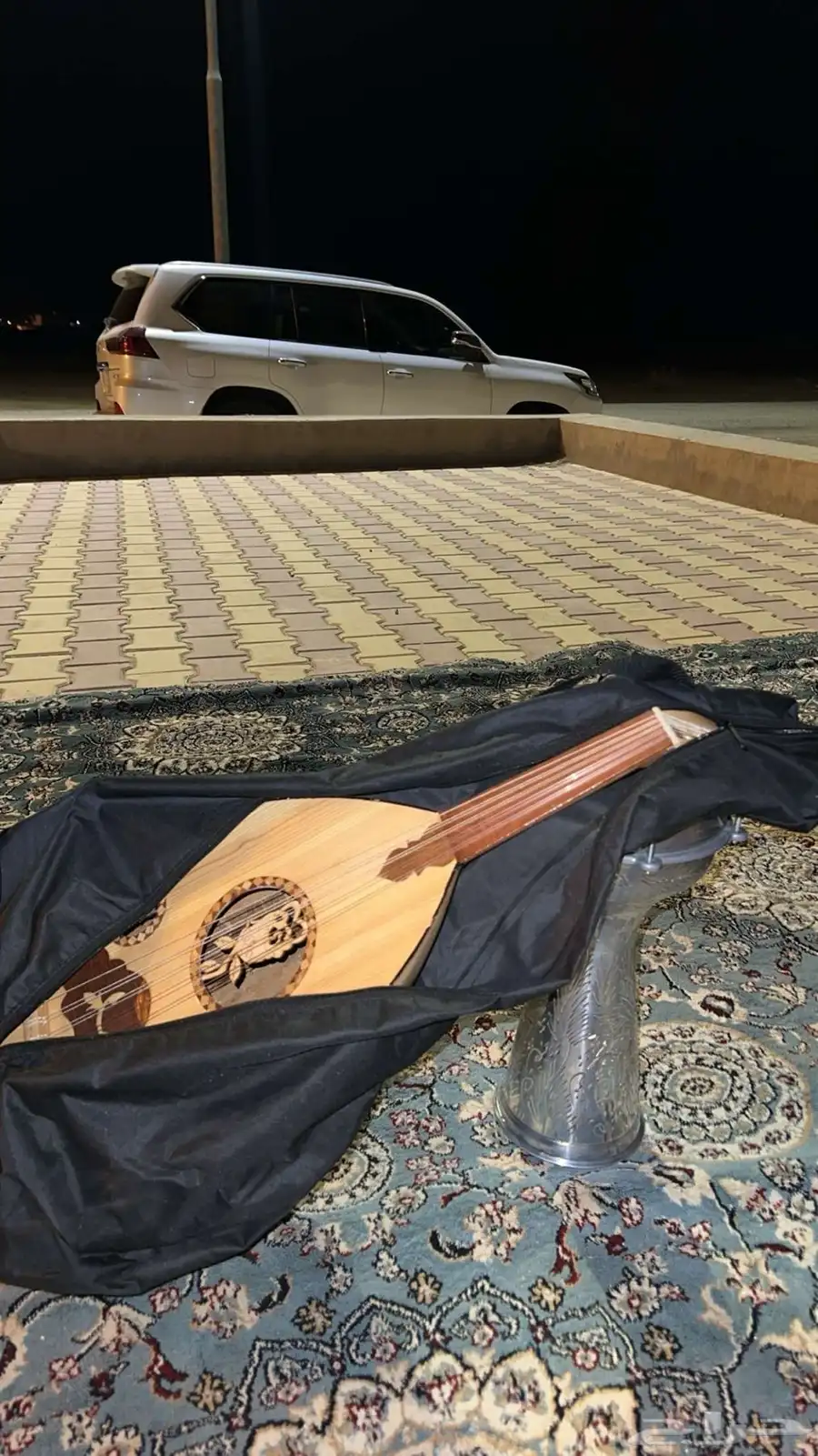 عود نضيف جدا على سوم 5