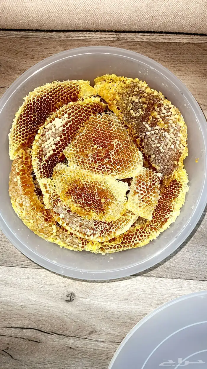 عسل طلح انتاج 3   1   1447 هجري 2