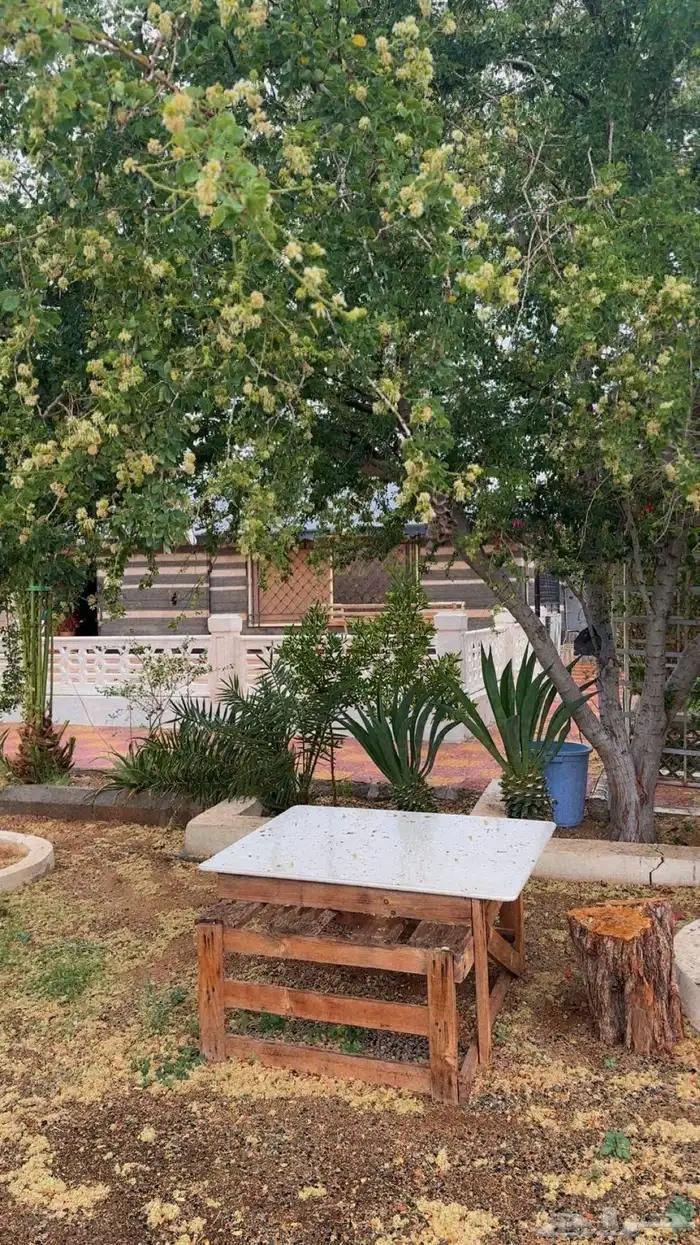 استراحة البستان قسمين مساحتها 3 الاف لليجاراليومي والشهري 3