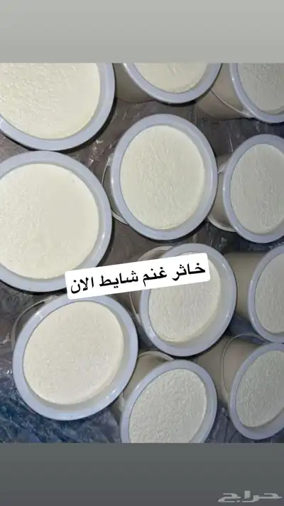 جبنه غنم خاثر غنم زبده غنم قشطه غنم سمن غنم لبنه غنم شرط 2
