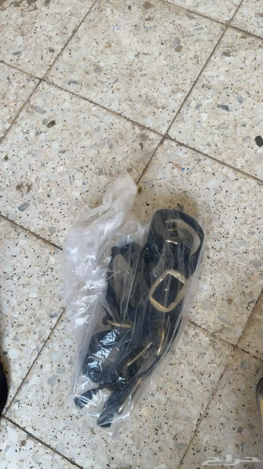 ملتزمات خيل 1