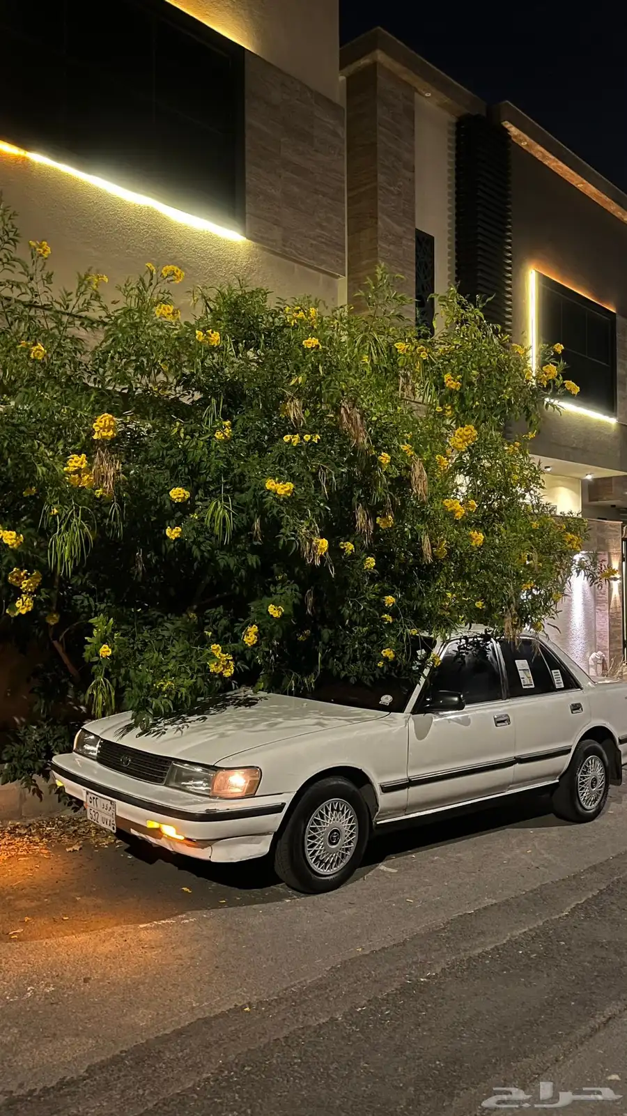 كرسيدا 93 10