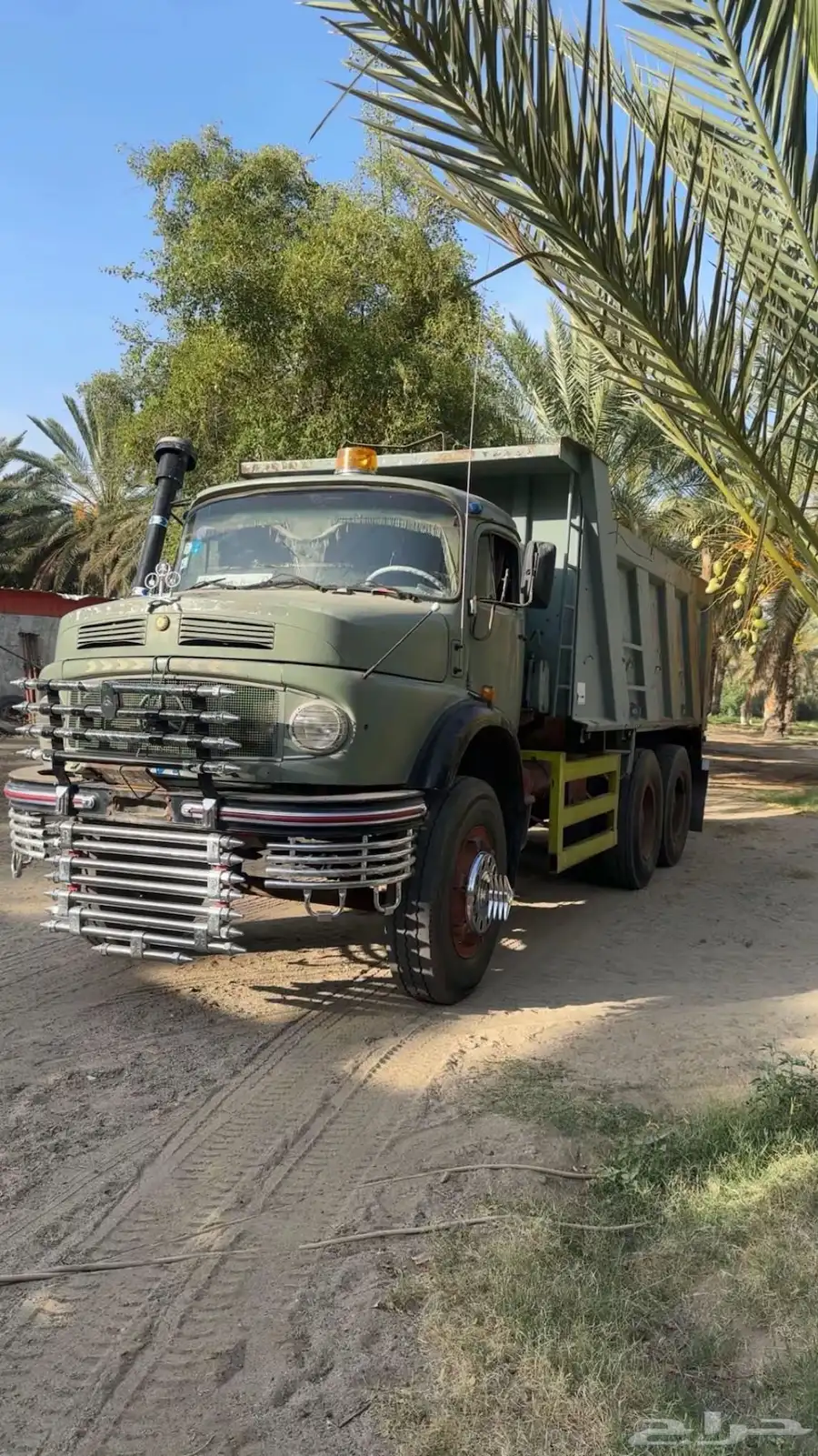 قلاب سكس بوز 1982 - 3824 1