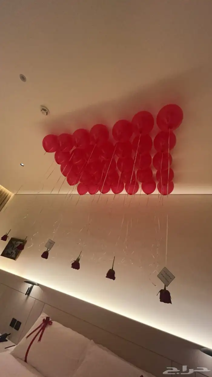 تنسيق حفلات 14