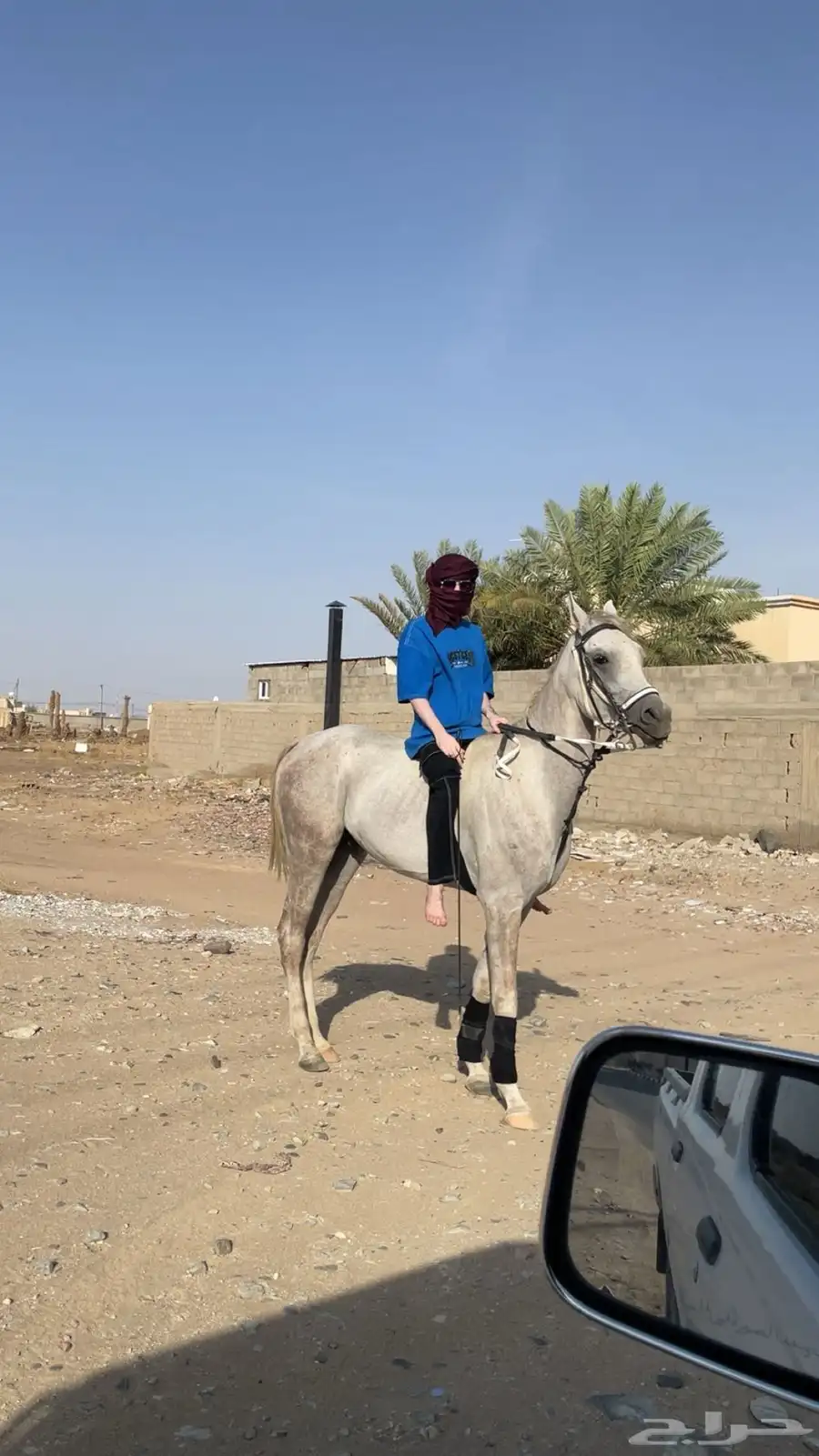 خيل 0