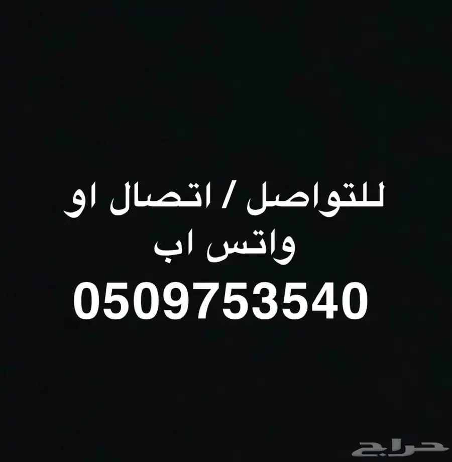 معزا بيض فاخرة 13
