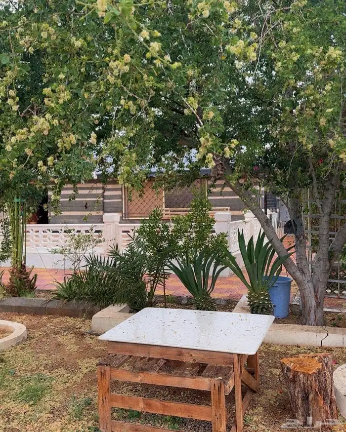 استراحة البستان قسمين مساحتها 3 الاف لليجاراليومي والشهري 1