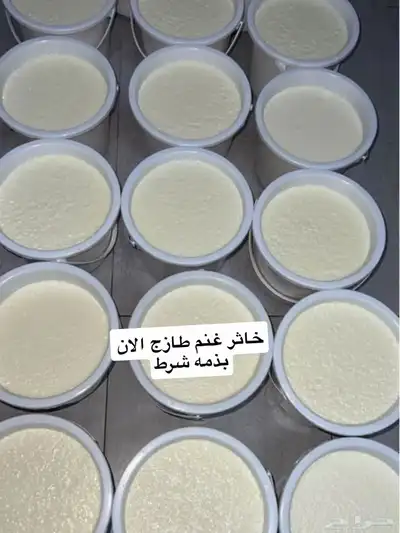 جبنه غنم خاثر غنم زبده غنم قشطه غنم سمن غنم لبنه غنم شرط 5