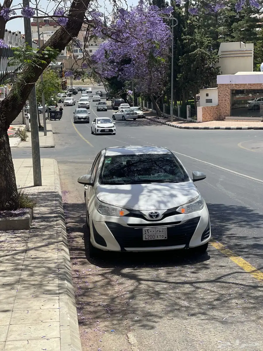 يارس 2019 4