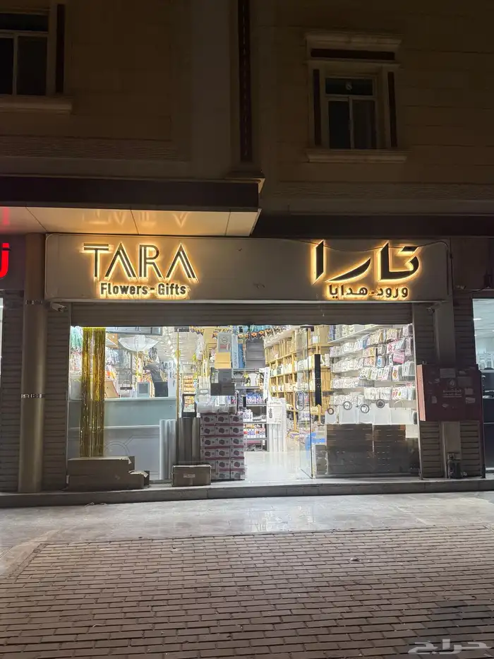 خطاط لوحات حروف زنكور وكرليك 2