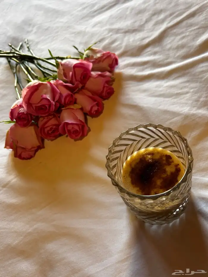 تنسيق حفلات 42