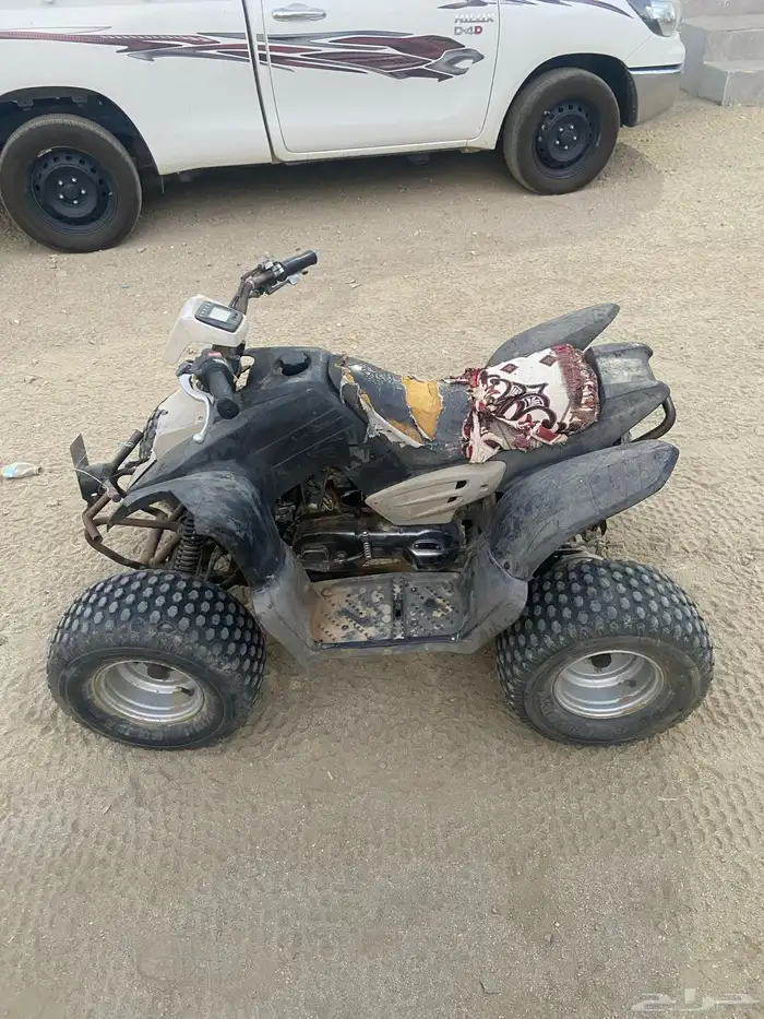 دباب 1
