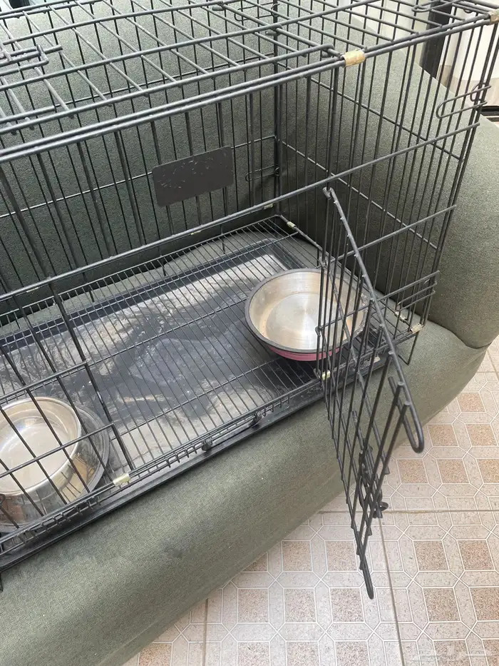 شبك كلاب   حيوانات للبيع يشيل ثنين 1