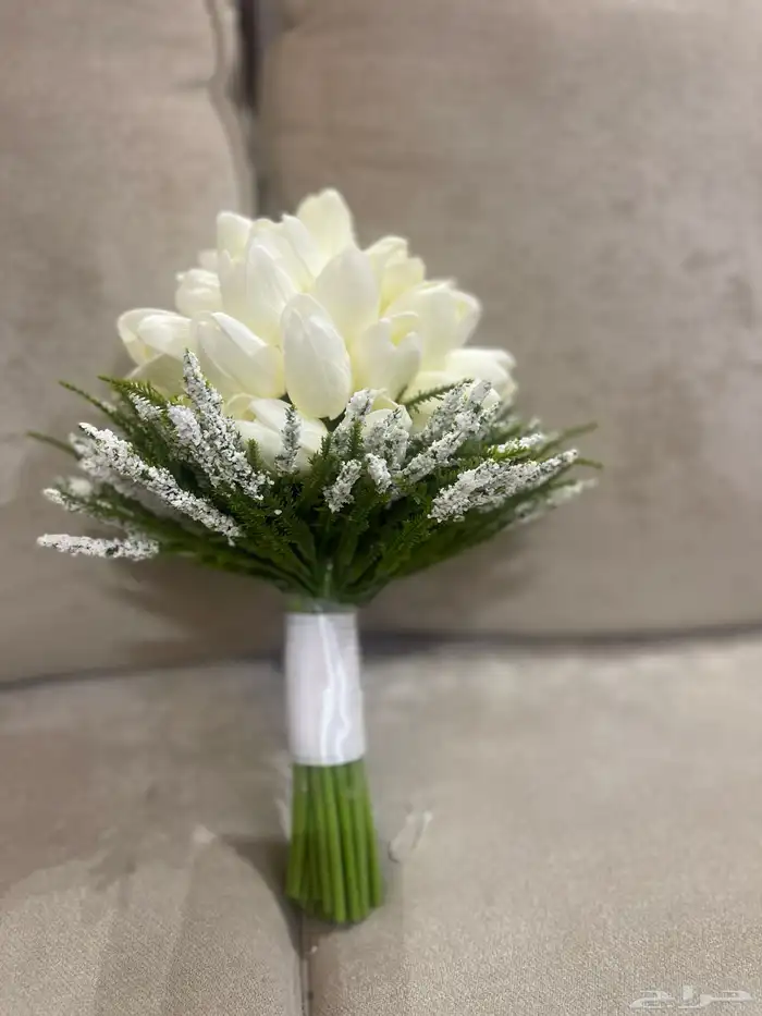 كوش ومداخل تأجير بأسعار منافسة 9