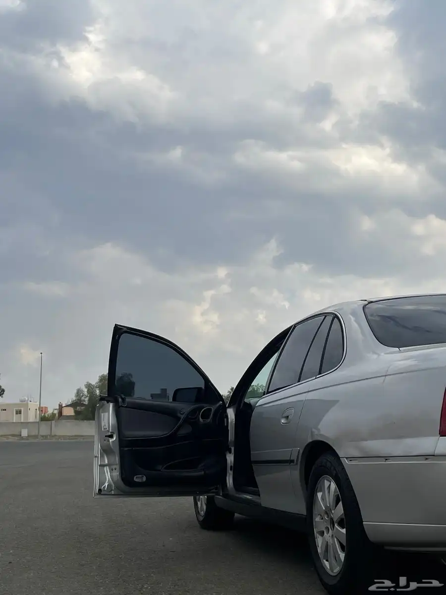 كابرس 2006 12