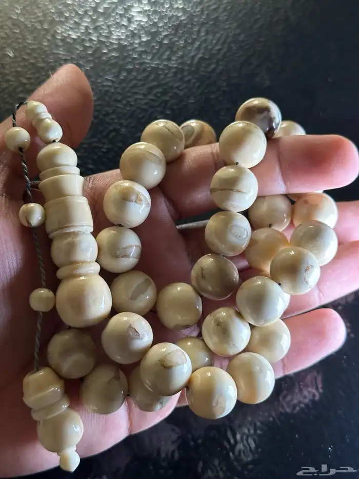 مسباح ناب الأسد نوادر السبح 0