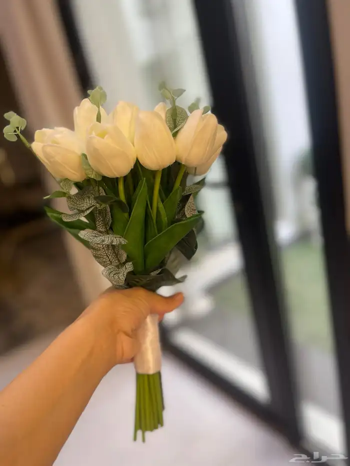 كوش ومداخل تأجير بأسعار منافسة 8