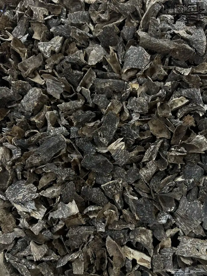 عود فتنامي زوايا دقه سوبر مرتفع طبيعي 2