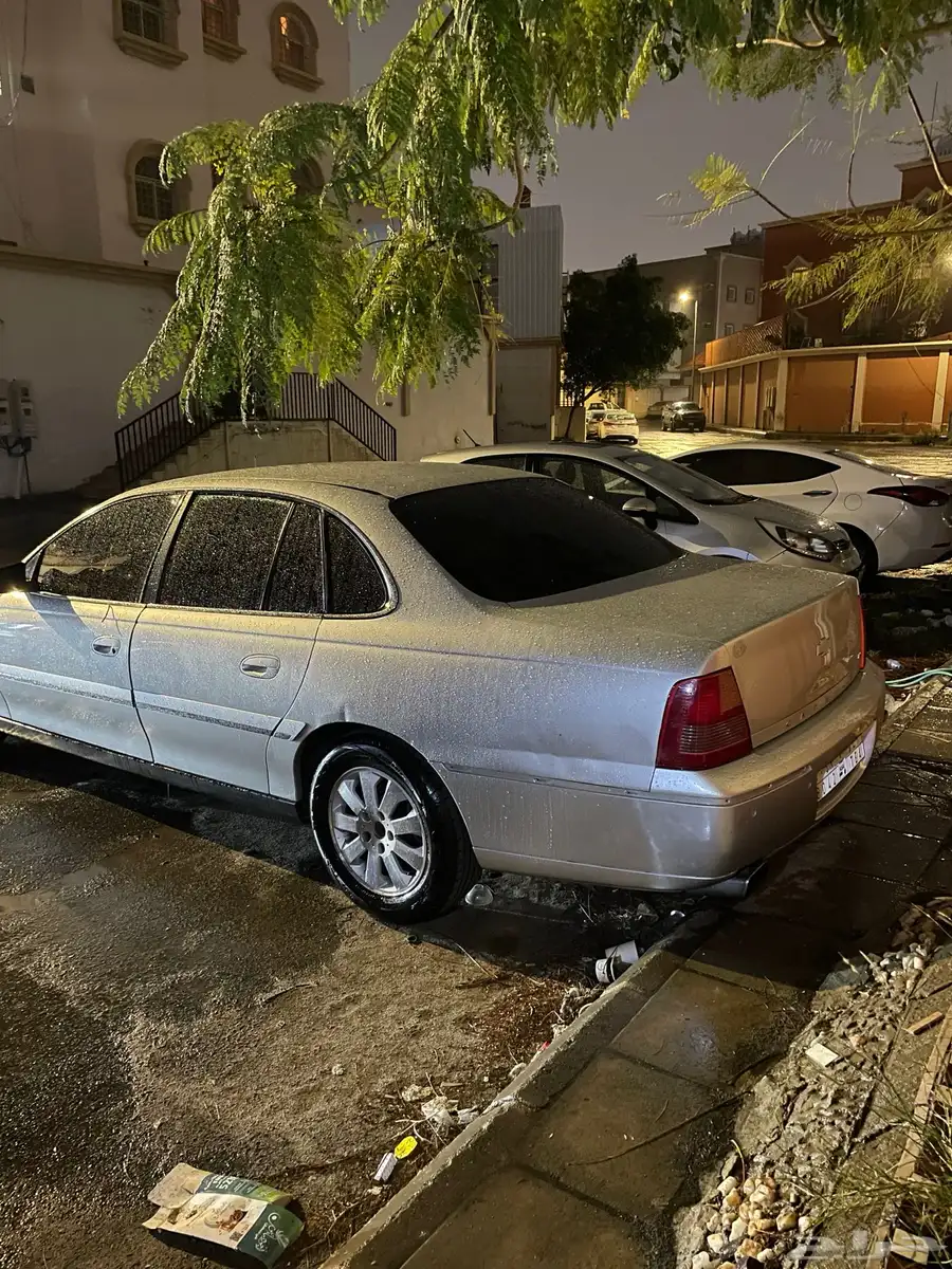 كابرس 2006 10