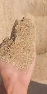 بطخا ودي دوسرا  رياض  بطحا  جاش م ين لجميع آنواع البطحاء 21