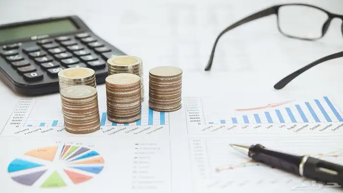 خدمات محاسبية وقانونية للشركات  ميزانيات-تصنيفات-محتوي محلي 0