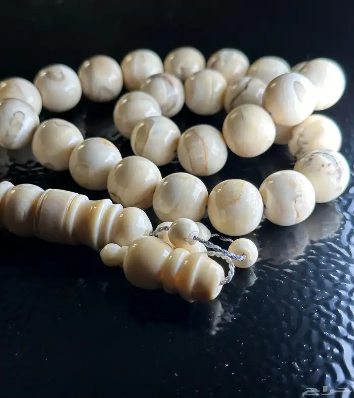 مسباح ناب الأسد نوادر السبح 3