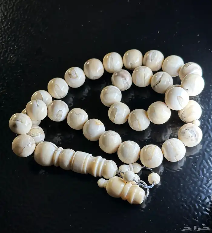 مسباح ناب الأسد نوادر السبح 2