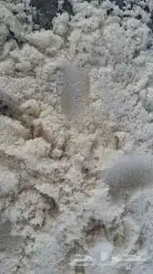 بطخا ودي دوسرا  رياض  بطحا  جاش م ين لجميع آنواع البطحاء 29