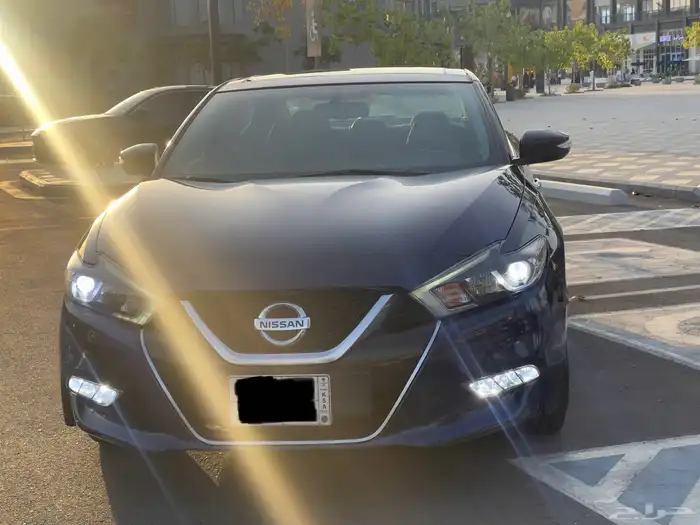 ماكسيما 2018 SV ممشى قليل مفتاحين بانوراما مالك واحد 1