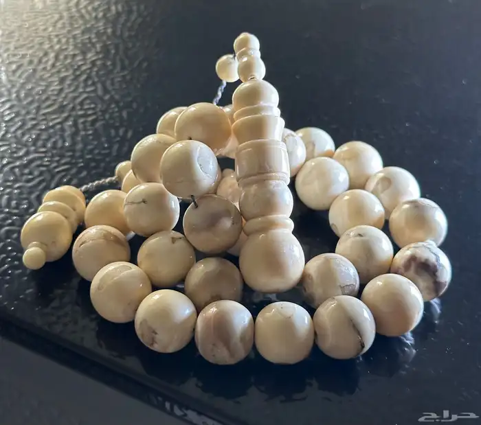 مسباح ناب الأسد نوادر السبح 1