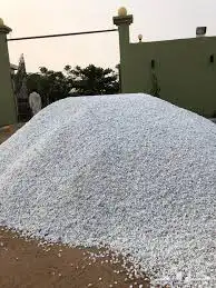 بطخا ودي دوسرا  رياض  بطحا  جاش م ين لجميع آنواع البطحاء 6