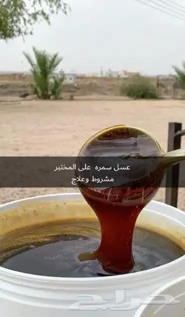 عسل سمره مشروط 3