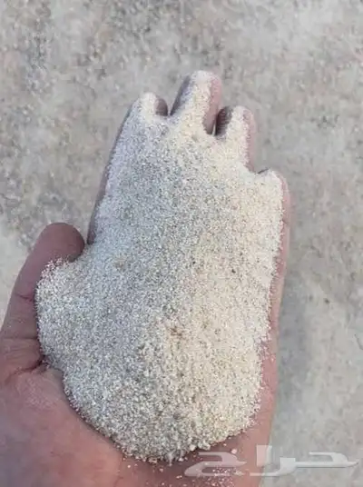 بطخا ودي دوسرا  رياض  بطحا  جاش م ين لجميع آنواع البطحاء 31