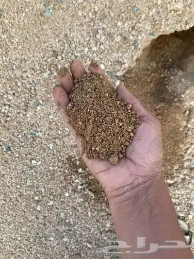 بطخا ودي دوسرا  رياض  بطحا  جاش م ين لجميع آنواع البطحاء 27