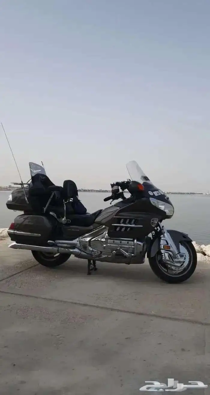 هوندا قولد وينق 1