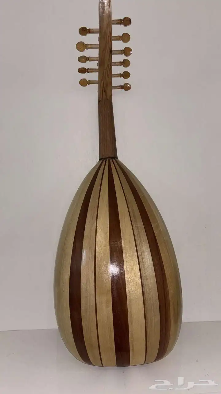 عود نضيف جدا على سوم 1