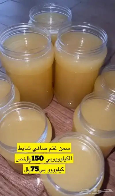 جبنه غنم خاثر غنم زبده غنم قشطه غنم سمن غنم لبنه غنم شرط 24