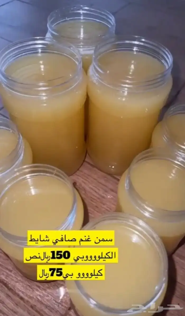 جبنه غنم خاثر غنم زبده غنم قشطه غنم سمن غنم لبنه غنم شرط 24