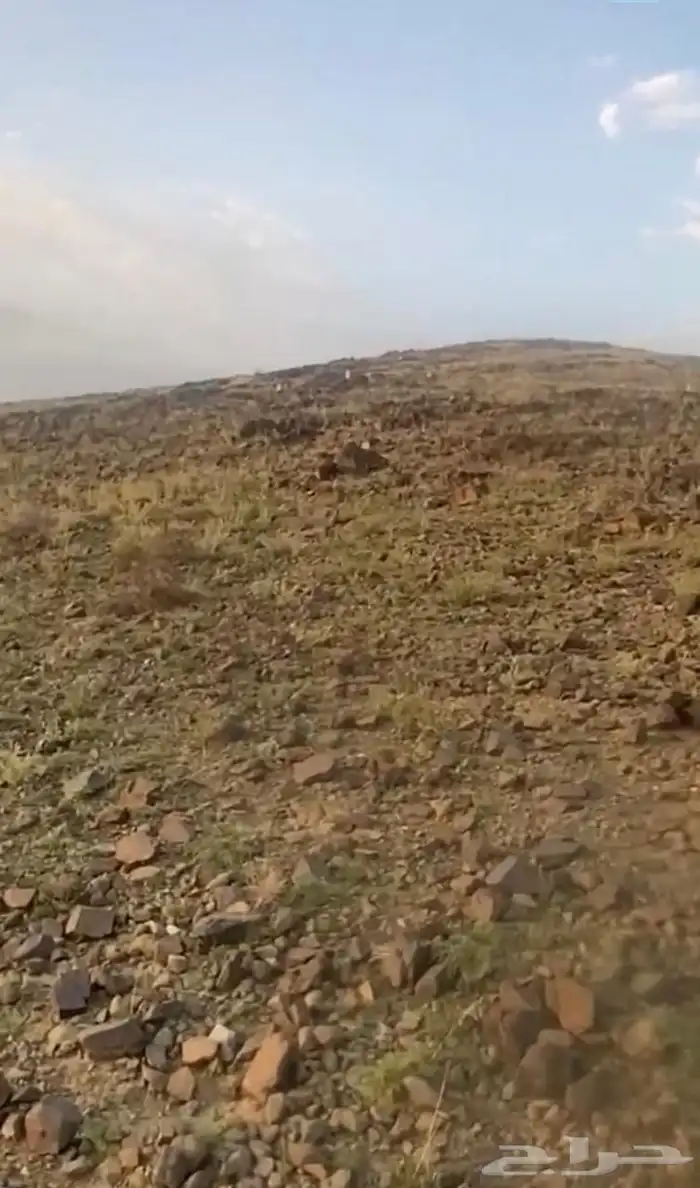 ارض للبيع في شوحط ابها 2