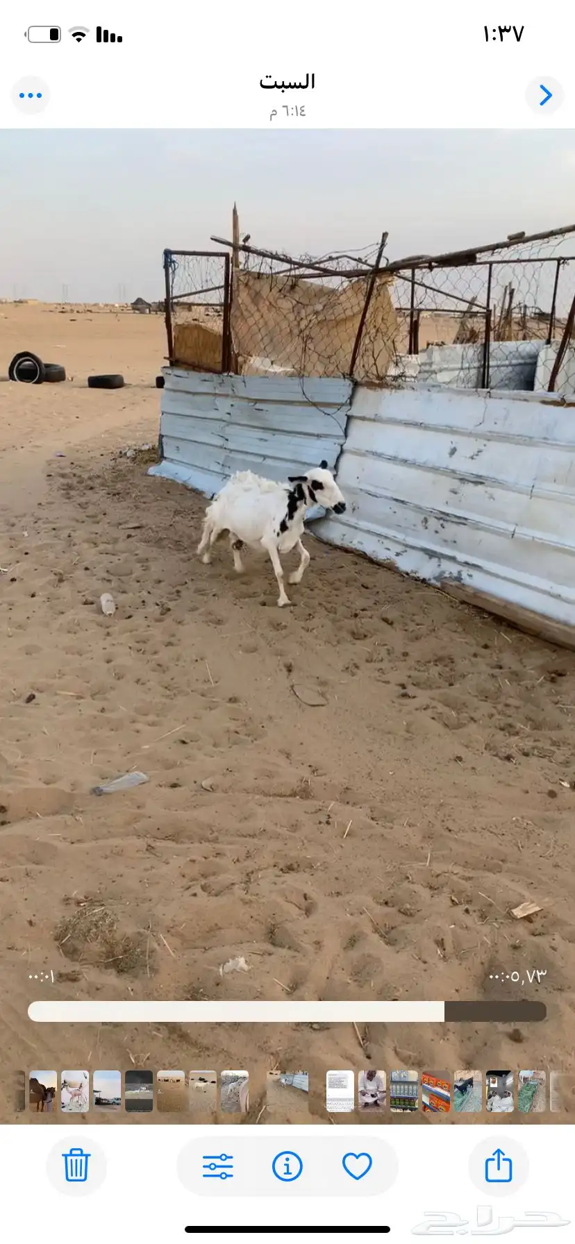 مضربه كفو 1