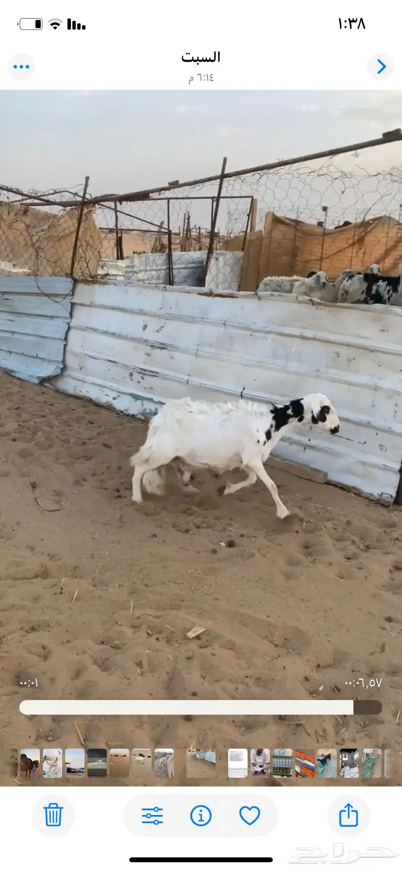 مضربه كفو 0